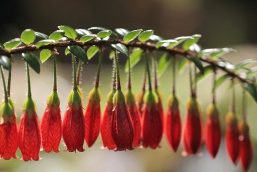广州越秀区私人快速借钱网，轻松解决资金难题