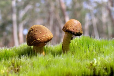 广州越秀区私人老板放款：轻松融资的秘密通道